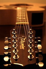12 String 006